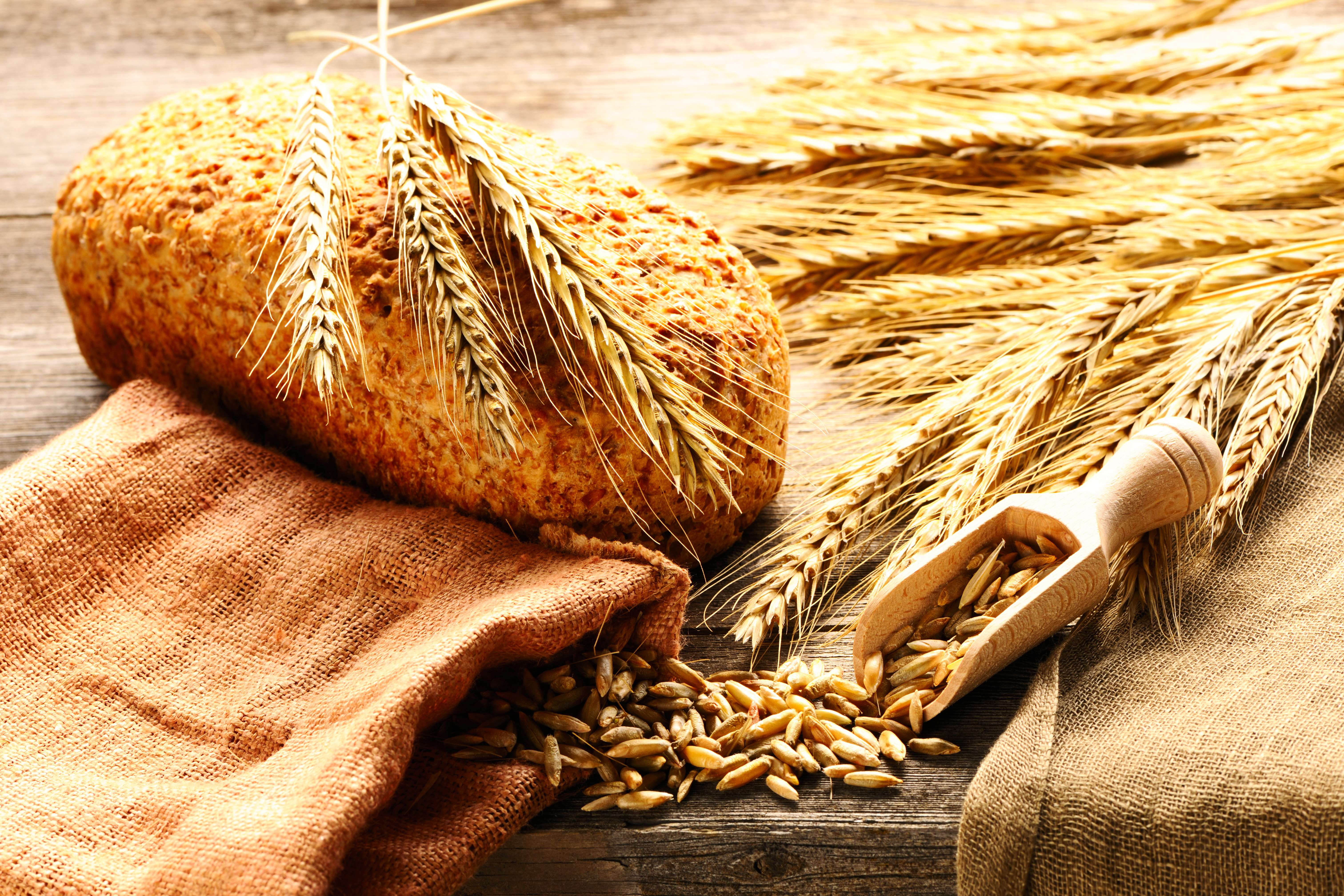 Rye spikelets and bread still life on wooden background